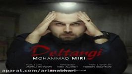 Mohammad Miri  Deltangi محمد میری  دلتنگی 