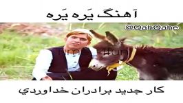 کلیپ خنده دار شما خونتون مورچه داره ؟ 