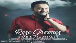 Shahin Ayoubzadeh  Roze Ghermez شاهین ایوب زاده  رز قرمز 