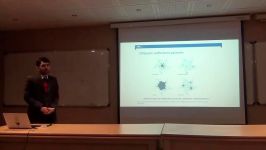 Optimization of plex settlement networks