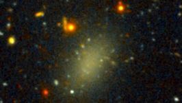 The Dark Galaxy Dragonfly 44 A Galaxy Almost Entirely Dark Matter