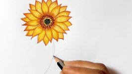 How to draw Sunflower.Step by step very easy