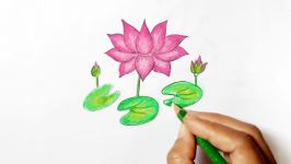 How to draw Waterlily.Step by step Very easy