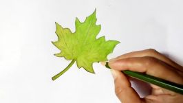 How to draw Leaf.Step by step easy draw