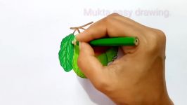 How to draw Guava for kids.Step by stepeasy draw