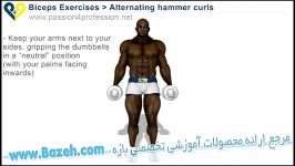 حرکات بدن سازی دو سر بازو  Alternating hammer curls