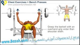 حرکات بدن سازی سینه  Bench Press  Chest Exercis