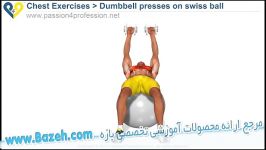 حرکات بدن سازی سینه  Dumbbell presses on swiss ball