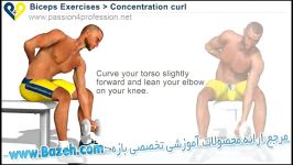 حرکات بدن سازی دو سر بازو  Concentration curls