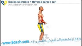 حرکات بدن سازی دو سر بازو  Reverse Barbell Curls