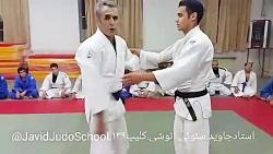 سئوی اوتوشی Seoi otoshi