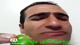 الوچه 