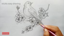 How to draw a Bird with pencil sketch.Step by stepeasy draw