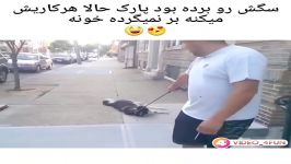 کلیپ خنده دار سگه رو برده پارک حالا هرکاریش میکنه بر نمی گرده