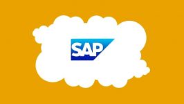 SAP Outgrown Systems