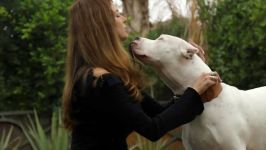 زندگی خانوادگی دوگو آرژانتینو THE DOGO ARGENTINO