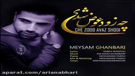 Meysam Ghanbari  Che Zod Avaz Shodi میثم قنبری  چه زود عوضی شدی 