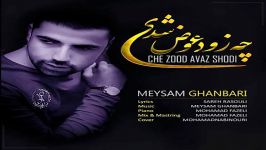 Meysam Ghanbari  Che Zod Avaz Shodi میثم قنبری  چه زود عوضی شدی 