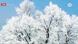 موزیک سینا شعبانخانی به نام چشمای مست