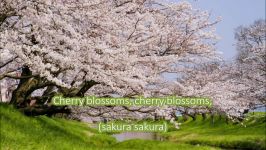 Japanese Folk Song #9 Cherry Blossoms （さくらさくらSakura Sakura）