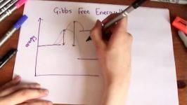 Gibbs Free Energy