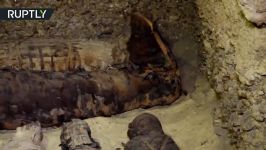 Dozens of ancient mummies discovered in Egypt