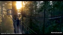 Capilano Suspension Bridge Vancouver City in Canada