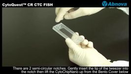 CytoQuest™ CR CTC FISH