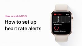 How to set up heart rate alerts on your Apple Watch — Apple Support