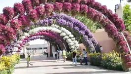 باغ گل دبی  باغ گل میراکل دبی  Miracle Garden