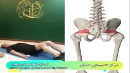 کشش عضلات پریفورمیس Piriformis Stretch