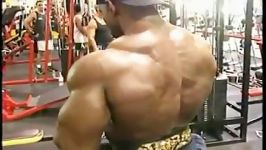 Flex Wheeler Back Day