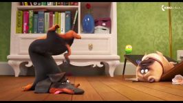 زندگی پنهان حیوانات دست آموز 2 THE SECRET LIFE OF PETS