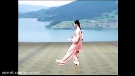 تای چی  اجرای فرم 32 توسط وو امین، نمای پشت  Tai Chi