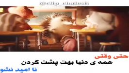 حتی قتی همه دنیا بهت پشت کردن نا امید نشو