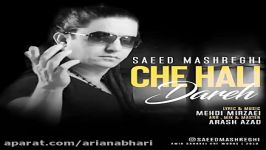 Saeed Mashreghi  Che Hali Dare سعید مشرقی  چه حالی داره 