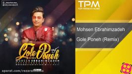 Mohsen Ebrahimzadeh  Gole Poneh Remix محسن ابراهیم زاده  گل پونه ریمیکس