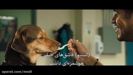 تریلر فیلم A Dogs Way Home زیرنویس فارسی + محاصبه بازیگراش