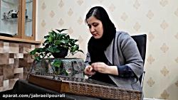 چهارمضراب سه گاه استاد پایور سی قطعه  سنتور سیما 