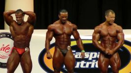 بدنسازی  مسابقات بدنسازی مردان 2013  سنگین وزن آماتور