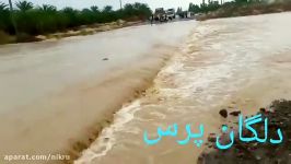 جاری شدن رودخانه چیل کنار دلگان سیستان بلوچستان پس بارش های امروز