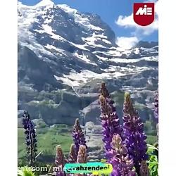 کوه های آلپ در سوییس