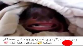 کلیپ خنده دار وقتی پدر میخواد بچه ش رو بخندونه