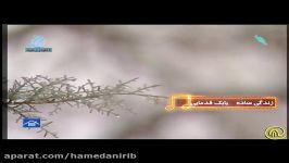 آهنگ زندگی ساده صدای بابک قدمایی با تصاویری زمستان زیبای همدان