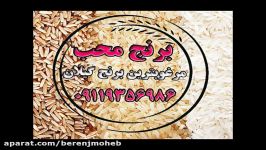 برنج دم سیاه آستانه اشرفیه