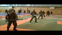 Japan Self Defense Force martial arts