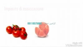 فرآوری گوجه خشک کیامین صنعت