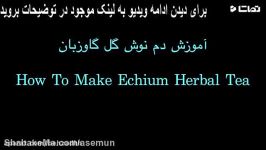 How To Make Echium Herbal Tea  آموزش دم نوش گل گاوزبان 