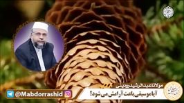 مولانا عبدالرشید رودینی آیا موسیقی باعث آرامش می شود؟