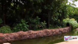 1 day trip at Singapore River Safari on Amazon River Atagasht 